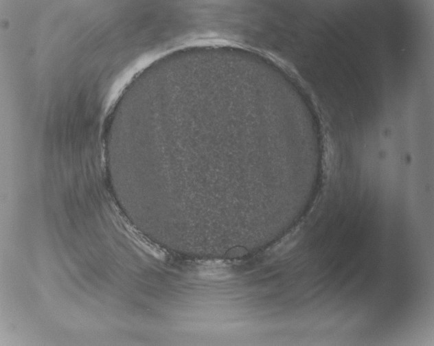 X0000051891167200507081931