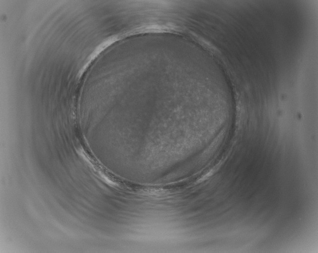 X0000051891170200507081931