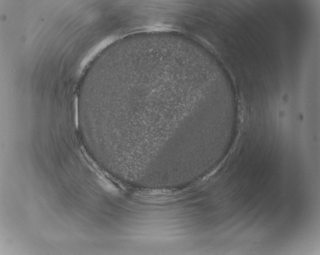 X0000051891171200507081931