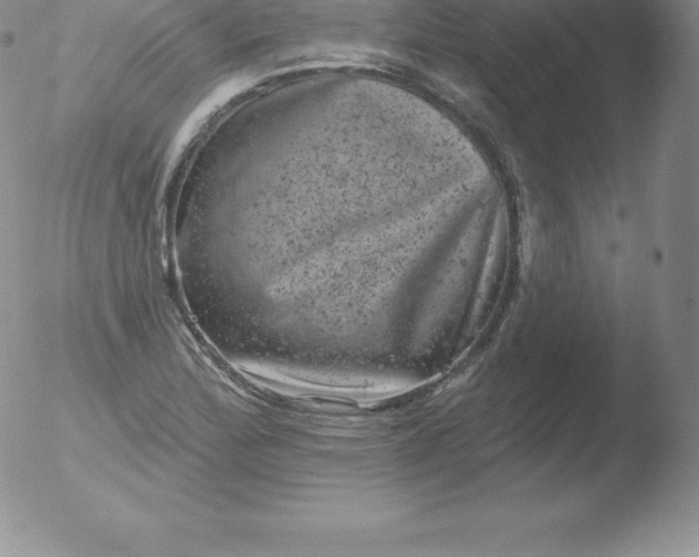 X0000051891172200507081931