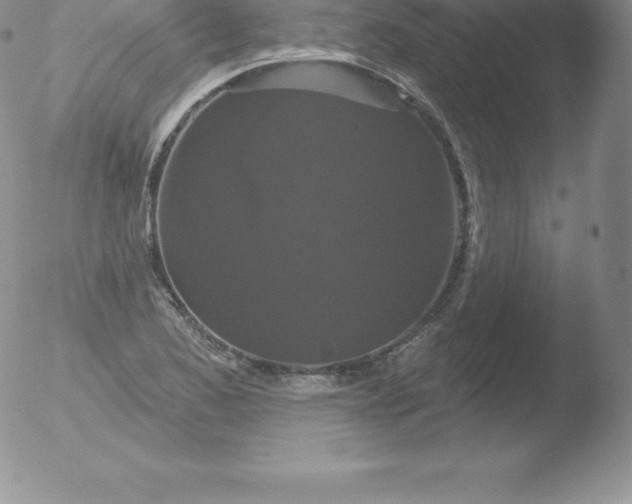 X0000051891173200507081931