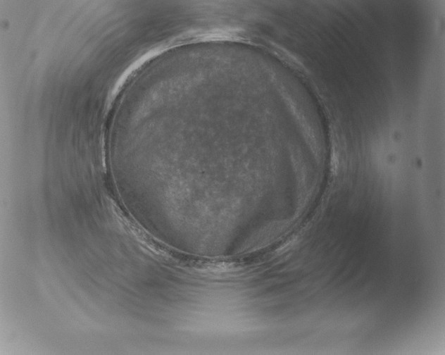 X0000051891174200507081931