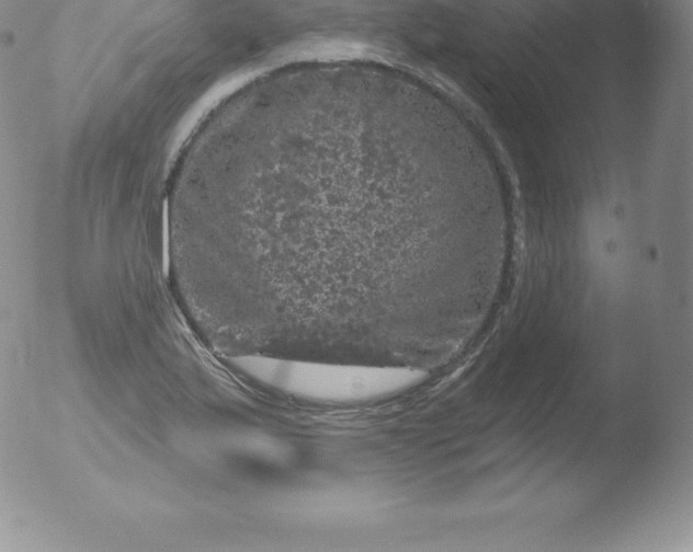 X0000051891175200507081931