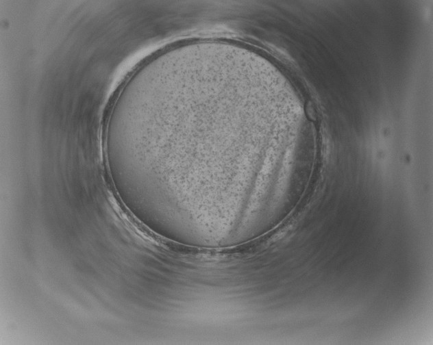 X0000051891176200507081931