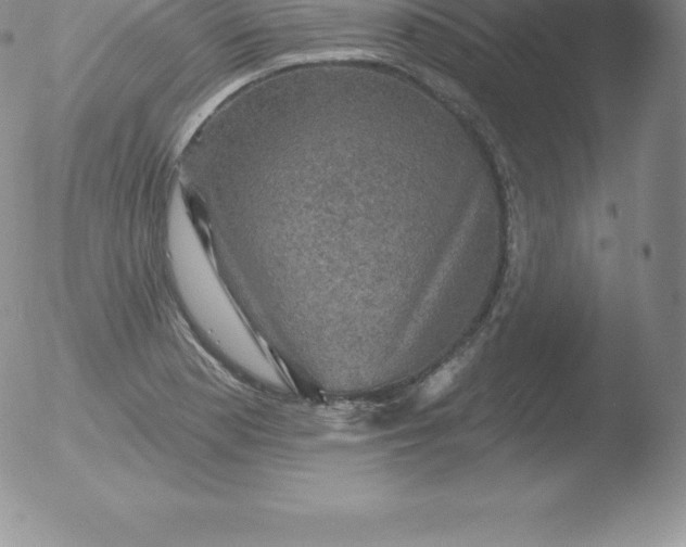 X0000051891177200507081931