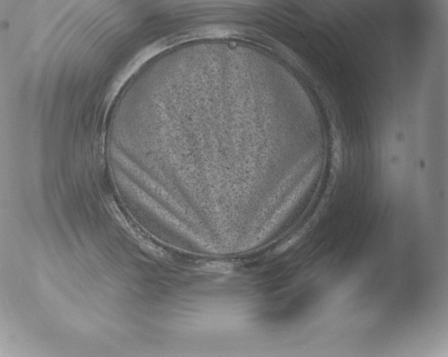 X0000051891178200507081931