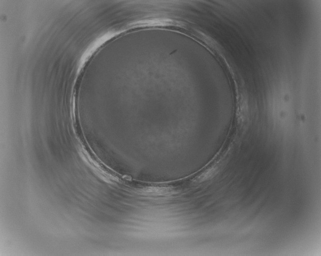 X0000051891179200507081931