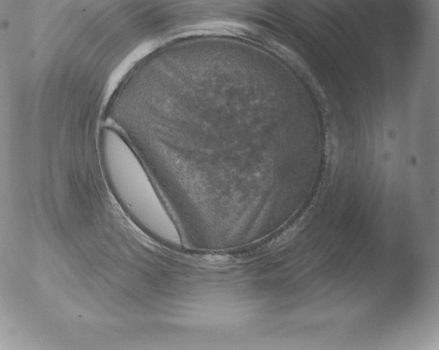 X0000051891180200507081931