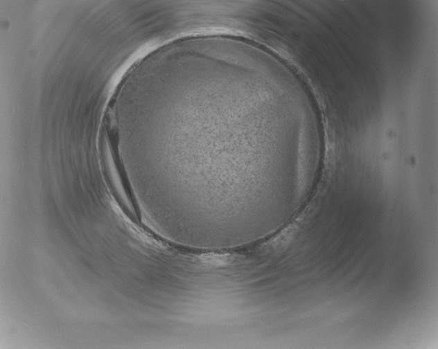 X0000051891181200507081931