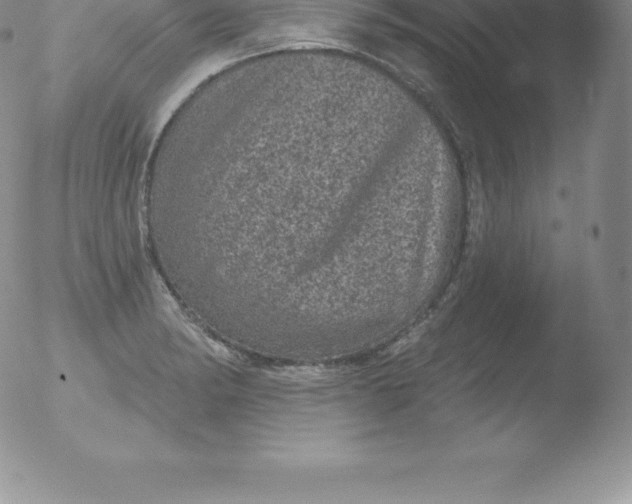 X0000051891182200507081931