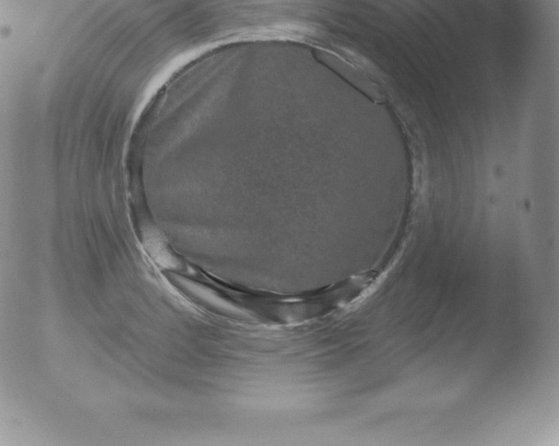 X0000051891184200507081931