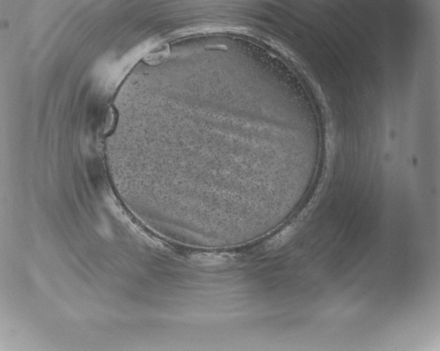 X0000051891185200507081931