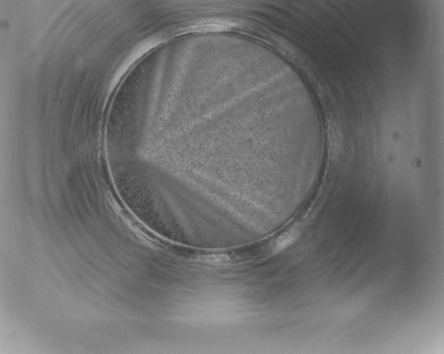 X0000051891186200507081931