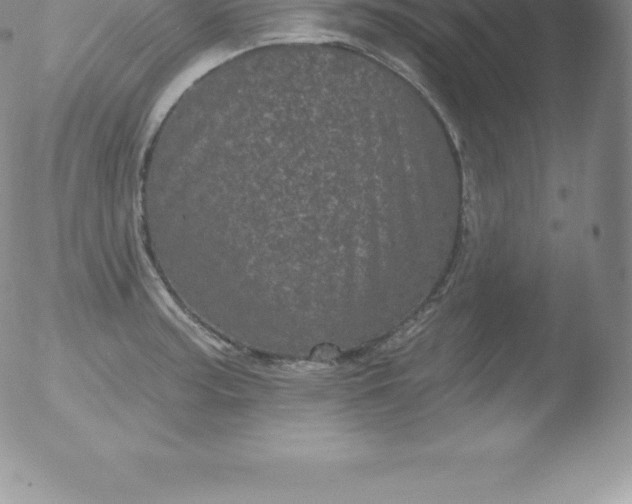 X0000051891187200507081931