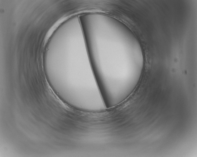 X0000051891188200507081931