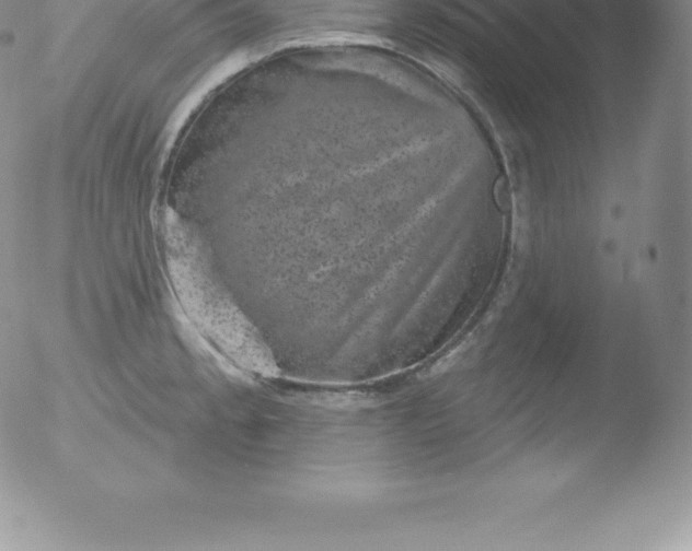 X0000051891189200507081931