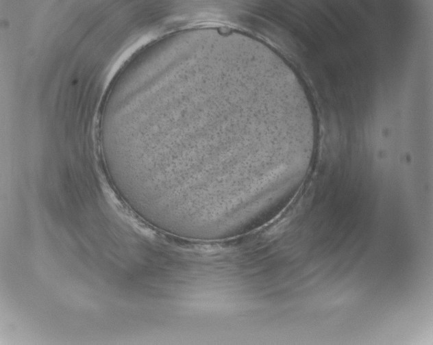 X0000051891190200507081931