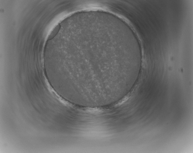 X0000051891191200507081931