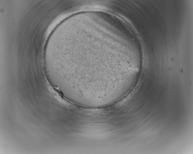 X0000051891192200507081931