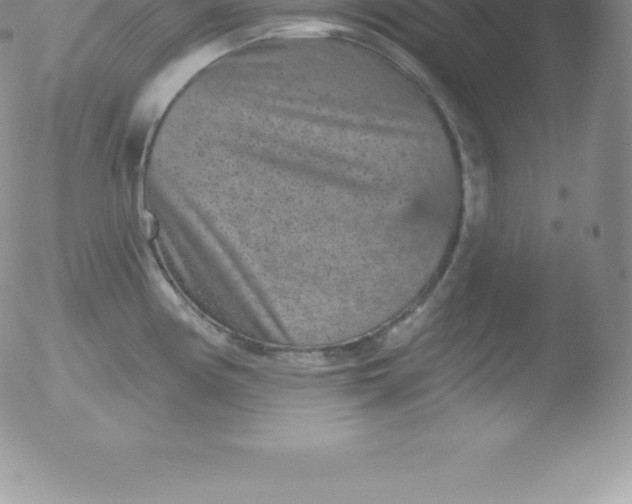 X0000051891194200507081931