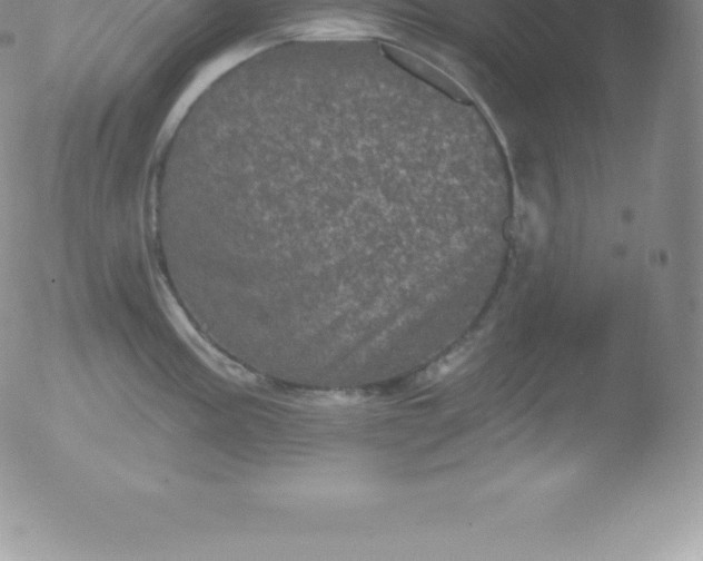 X0000051891195200507081931