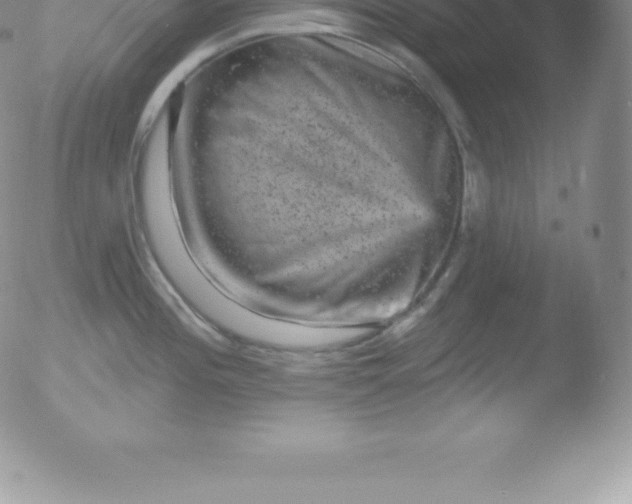 X0000051891196200507081931