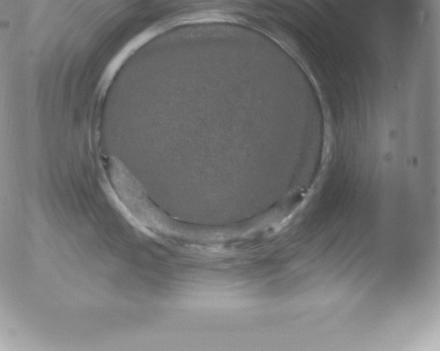 X0000051891197200507081931