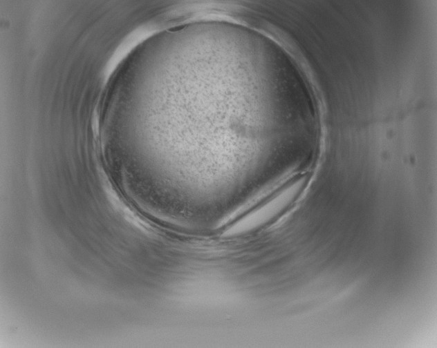 X0000051891198200507081931