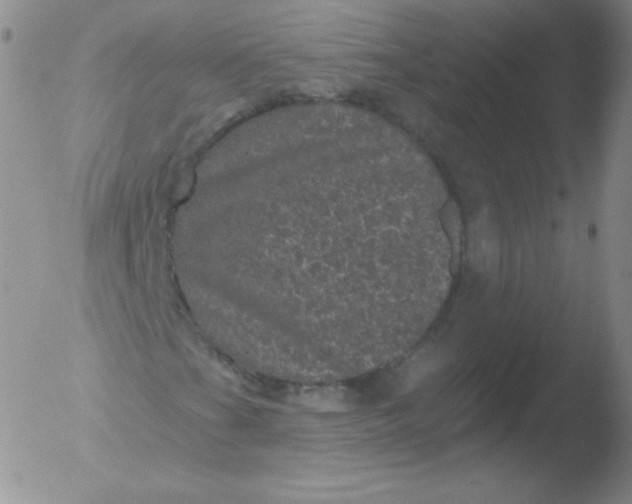 X0000051891201200507081930