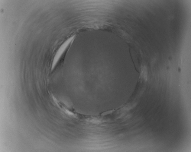 X0000051891202200507081930