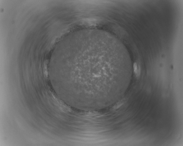 X0000051891203200507081930