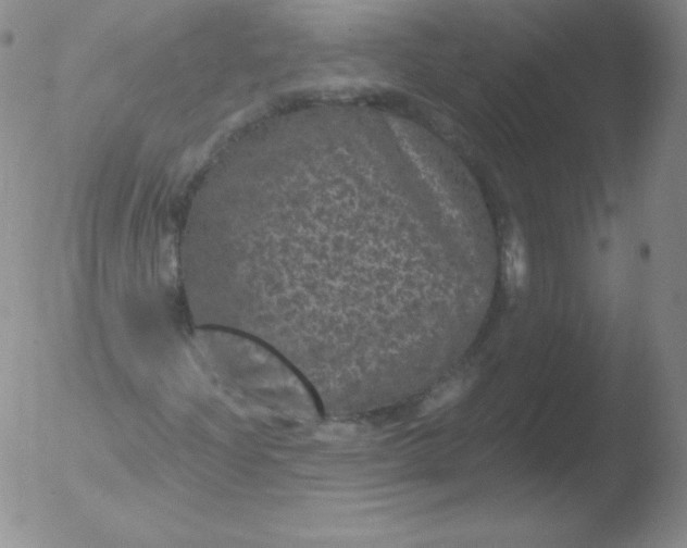 X0000051891204200507081930