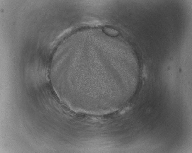 X0000051891205200507081930