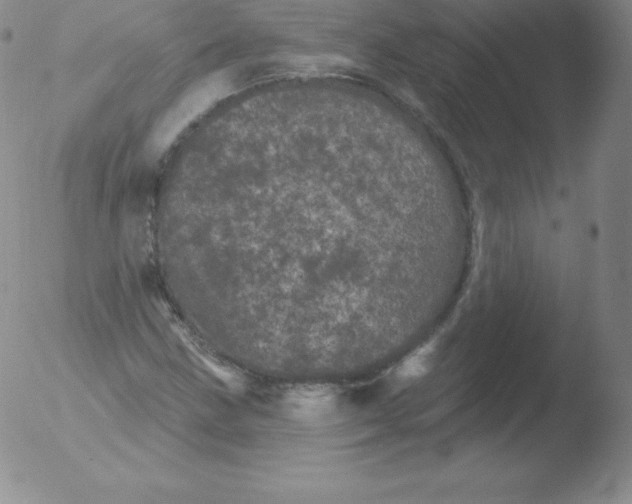 X0000051891211200507081930