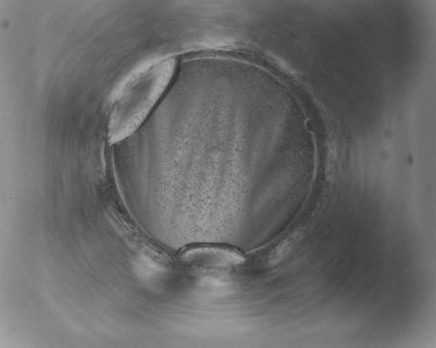 X0000051891214200507081930