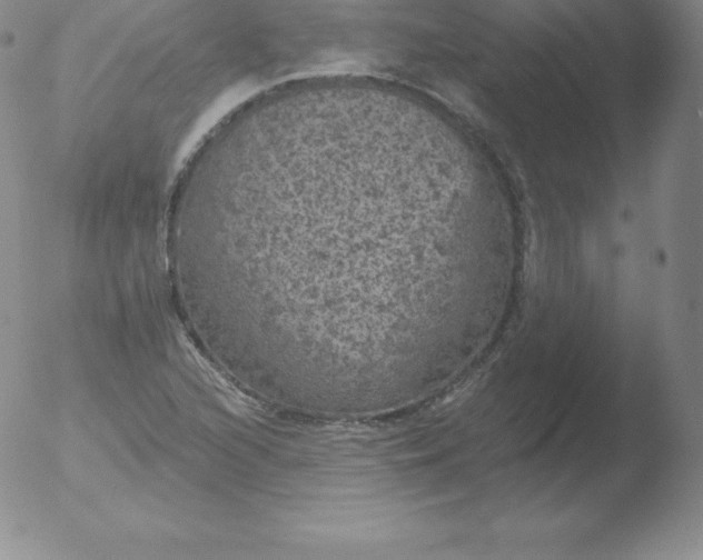 X0000051891216200507081930