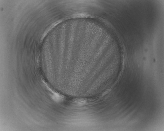 X0000051891217200507081930