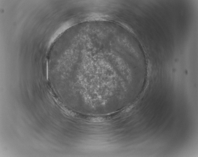 X0000051891219200507081930