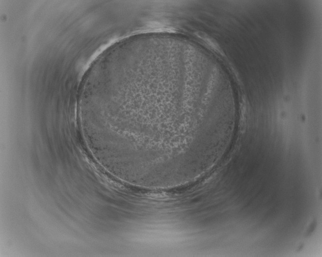 X0000051891220200507081930