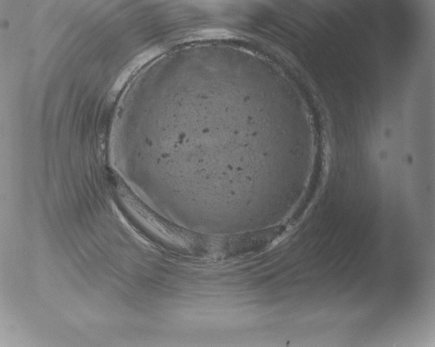 X0000051891225200507081930