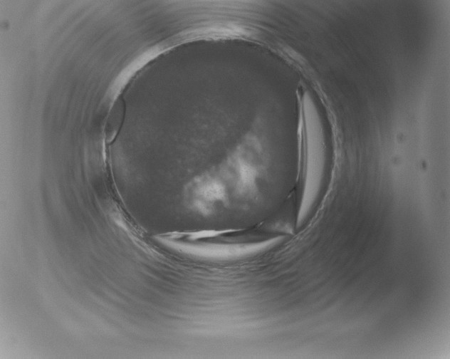 X0000051891226200507081930