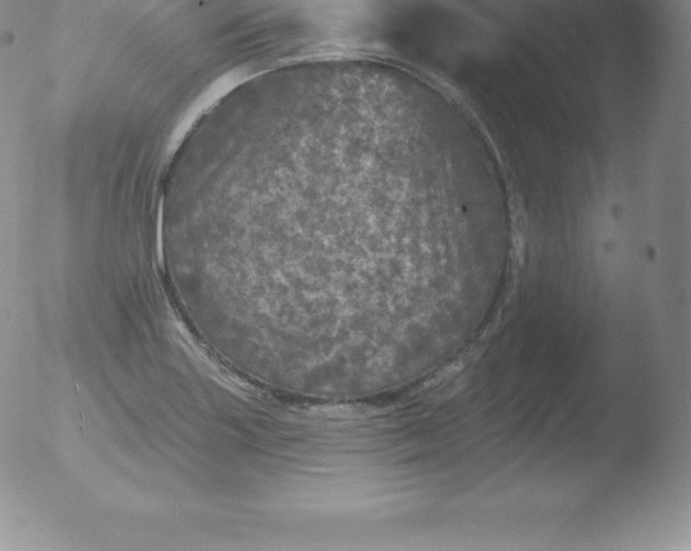 X0000051891227200507081930