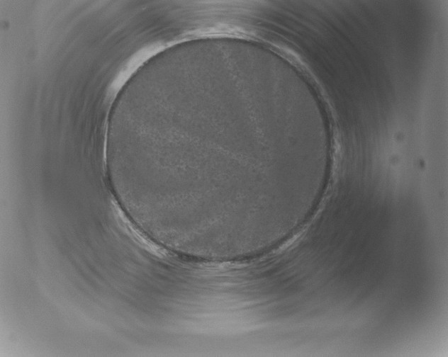 X0000051891228200507081930