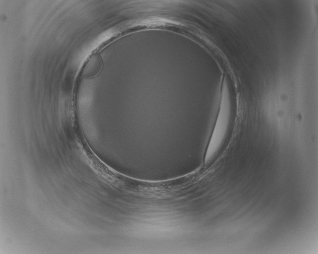 X0000051891229200507081930