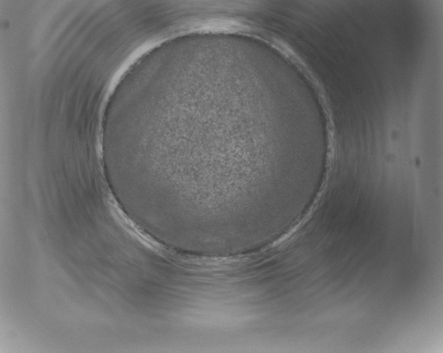 X0000051891232200507081930