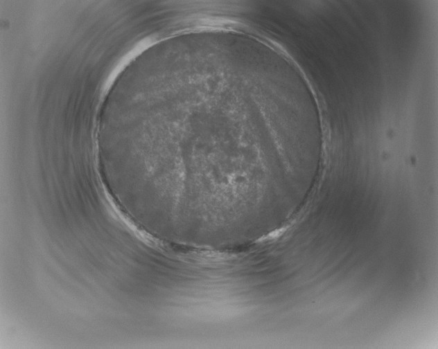 X0000051891235200507081930