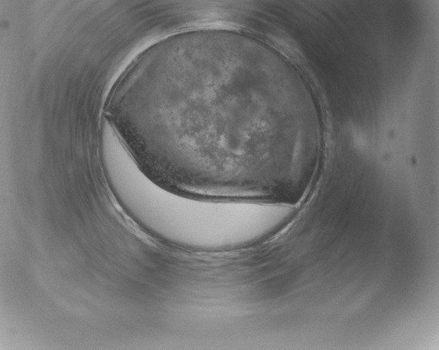 X0000051891236200507081930