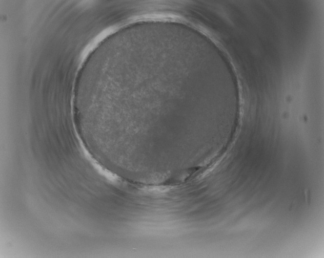 X0000051891237200507081930