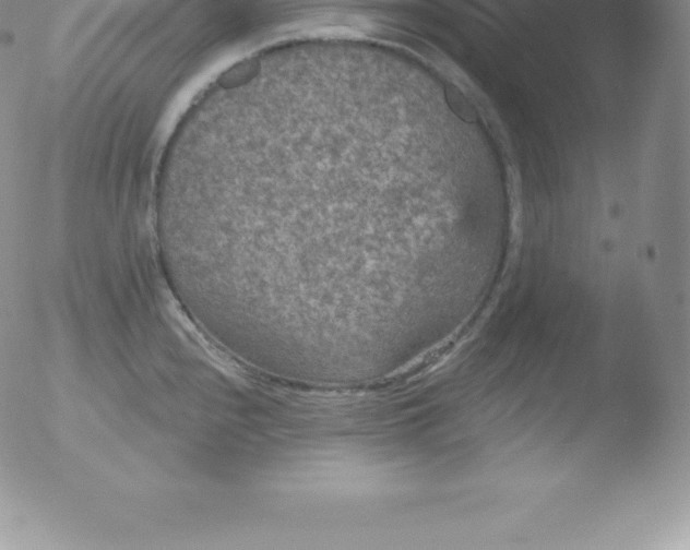 X0000051891240200507081930