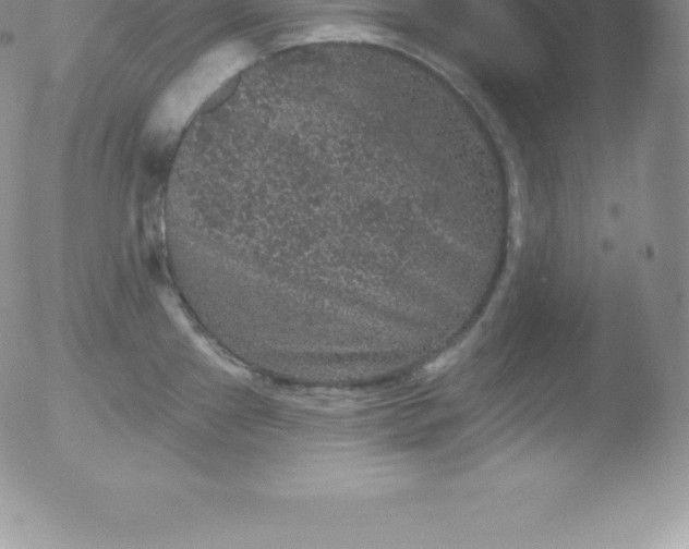 X0000051891241200507081930